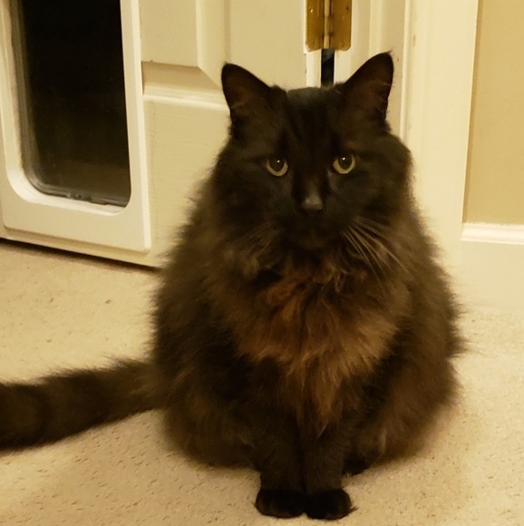 Meet your Posher, Jordan - Picture 7 of 8